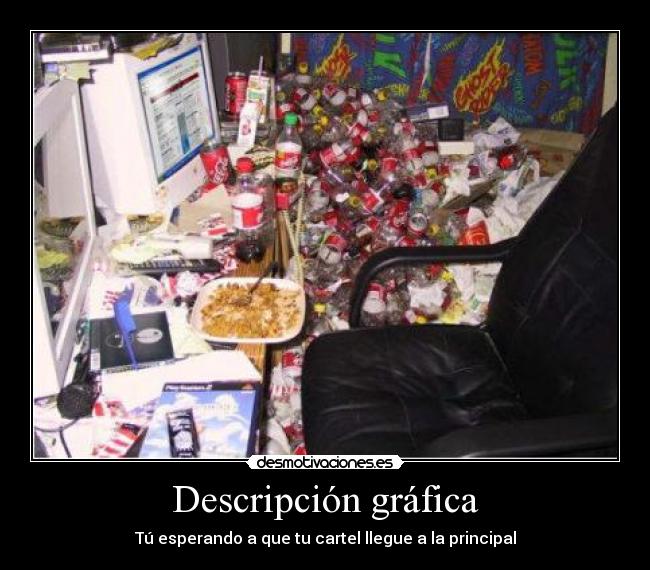 Descripción gráfica - 