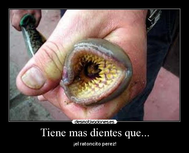 Tiene mas dientes que... -