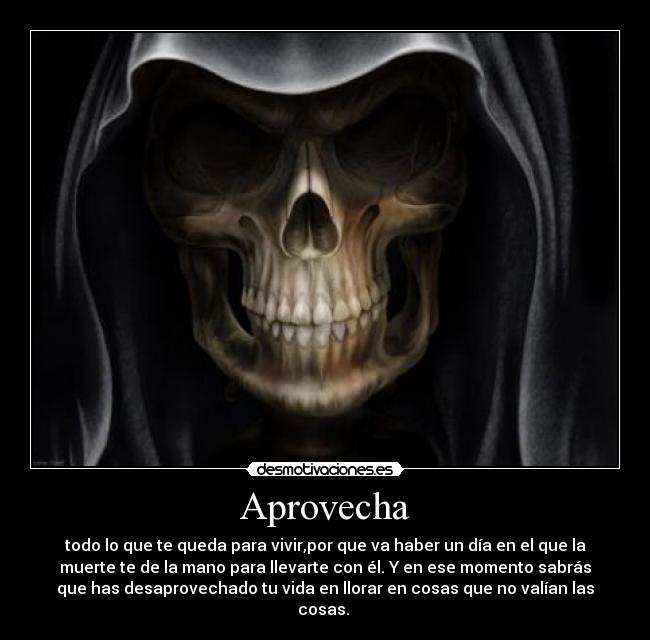 Aprovecha -