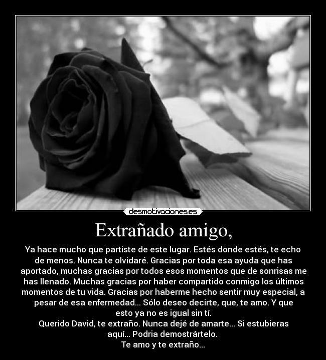 Extrañado amigo, - Ya hace mucho que partiste de este lugar. Estés donde estés, te echo
de menos. Nunca te olvidaré. Gracias por toda esa ayuda que has
aportado, muchas gracias por todos esos momentos que de sonrisas me
has llenado. Muchas gracias por haber compartido conmigo los últimos
momentos de tu vida. Gracias por haberme hecho sentir muy especial, a
pesar de esa enfermedad... Sólo deseo decirte, que, te amo. Y que
esto ya no es igual sin tí.
Querido David, te extraño. Nunca dejé de amarte... Si estubieras
aquí... Podria demostrártelo. 
Te amo y te extraño...