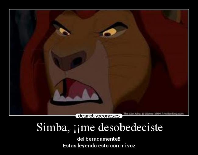 Simba, ¡¡me desobedeciste -