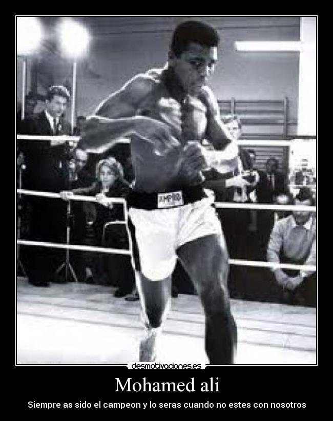 carteles antifa desmotivaciones