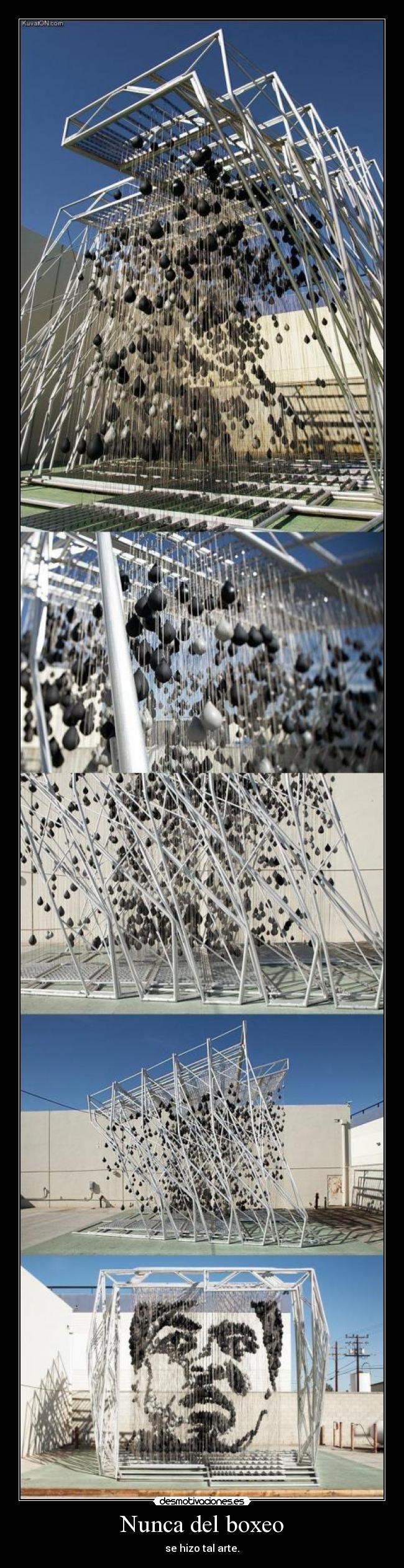 Nunca del boxeo -