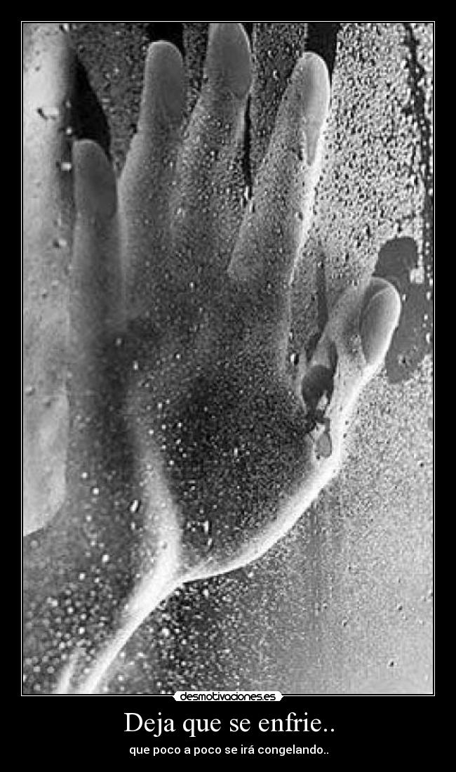 Deja que se enfrie.. - que poco a poco se irá congelando..