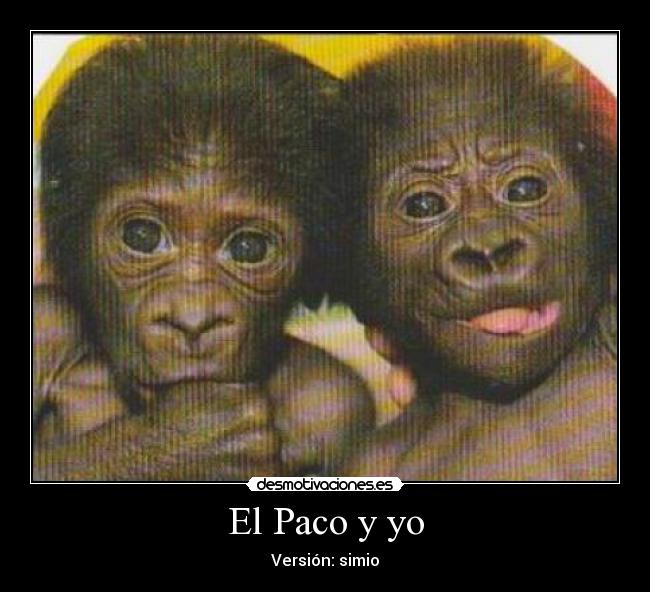 El Paco y yo - Versión: simio