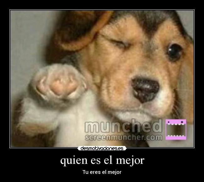 quien es el mejor -