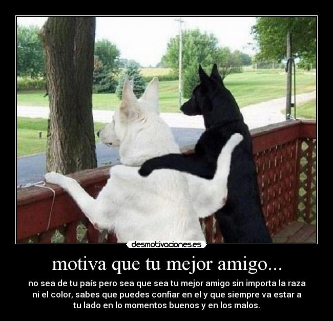 motiva que tu mejor amigo... - 