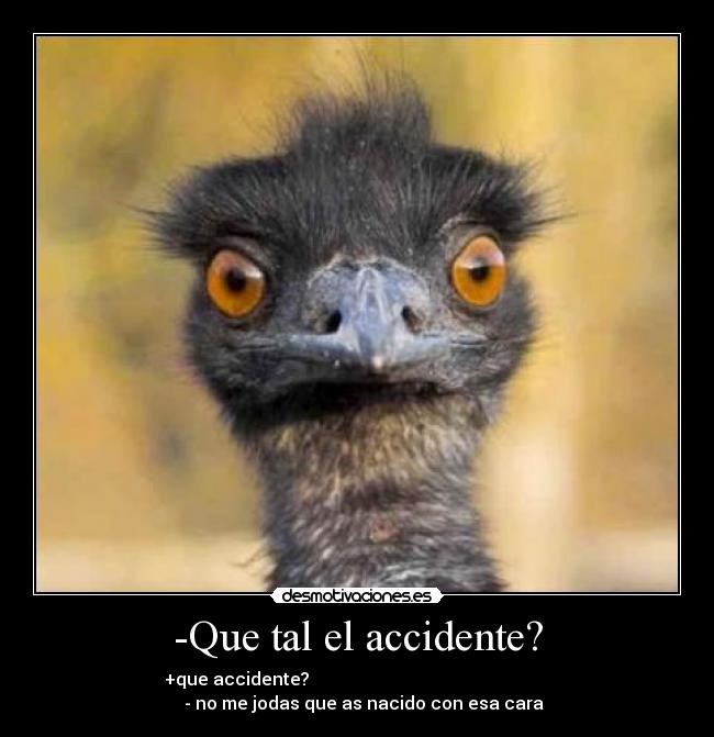 -Que tal el accidente? - 