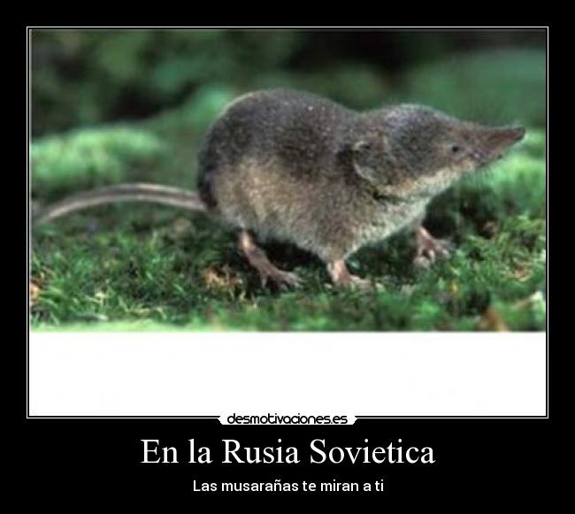 En la Rusia Sovietica -