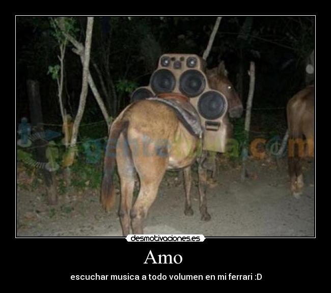 Amo  - escuchar musica a todo volumen en mi ferrari :D