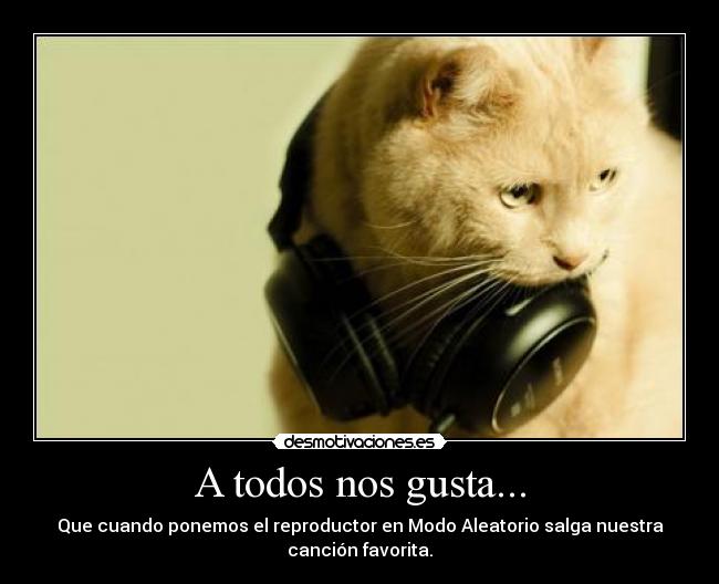 A todos nos gusta... - 