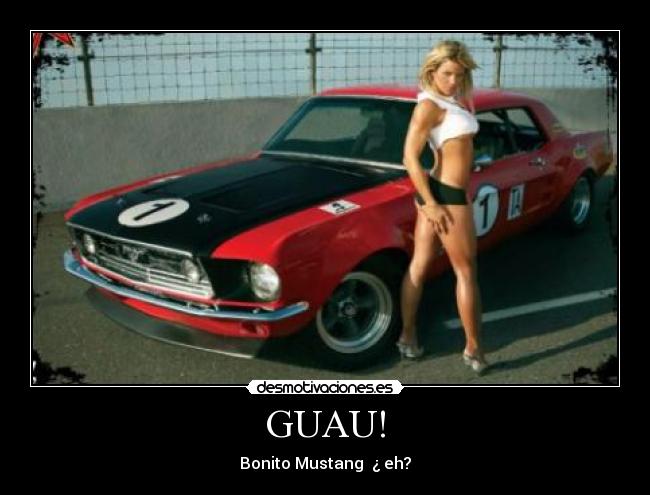 GUAU! - Bonito Mustang ¿ eh?