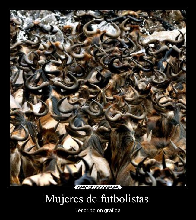 Mujeres de futbolistas - Descripción gráfica