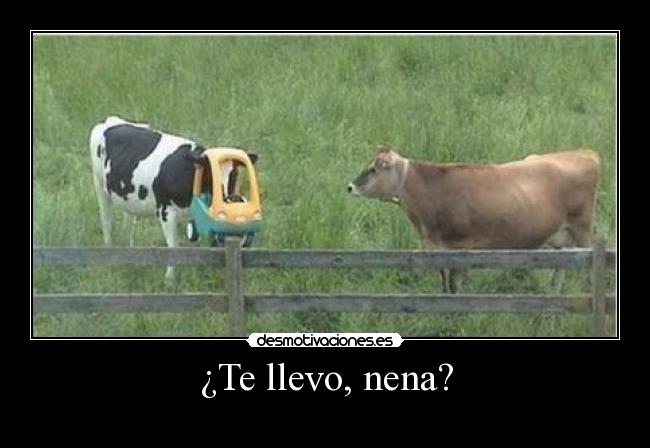 ¿Te llevo, nena? - 