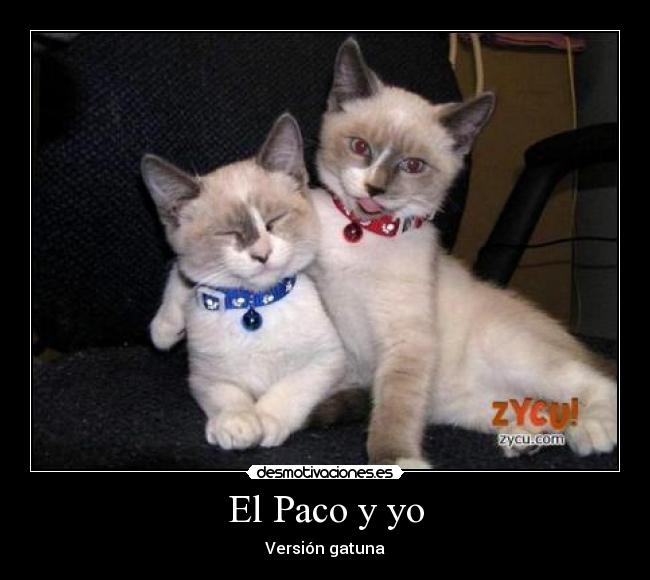 El Paco y yo - 