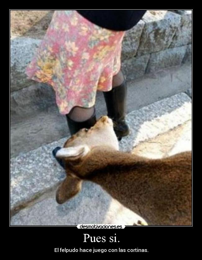 Pues si. - El felpudo hace juego con las cortinas.