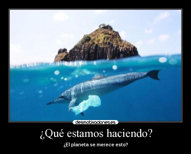 ¿Qué estamos haciendo? -