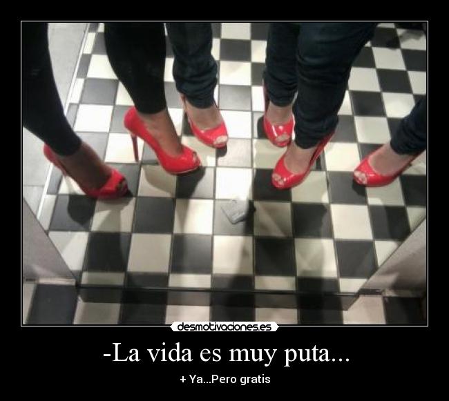 -La vida es muy puta... - + Ya...Pero gratis