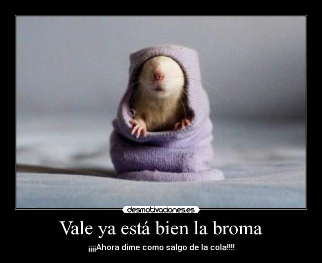 Vale ya está bien la broma - 