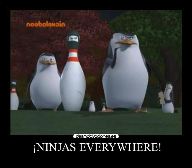 ¡NINJAS EVERYWHERE! - 