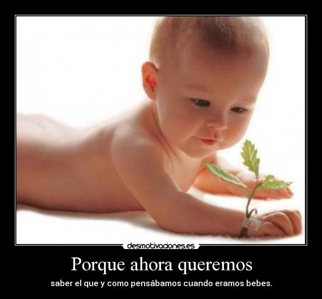 Porque ahora queremos - saber el que y como pensábamos cuando eramos bebes.