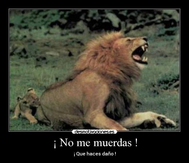 ¡ No me muerdas ! -