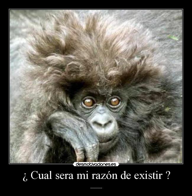 ¿ Cual sera mi razón de existir ? - 