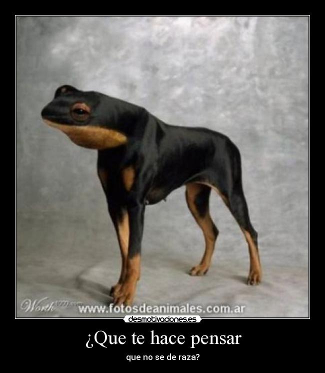 ¿Que te hace pensar - 