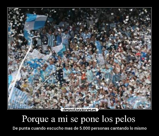 Porque a mi se pone los pelos  - 