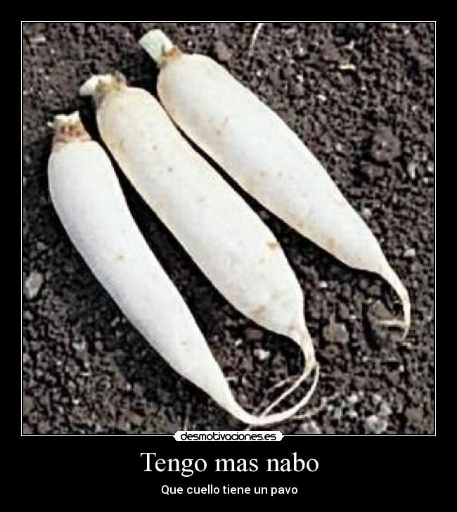 Tengo mas nabo - Que cuello tiene un pavo