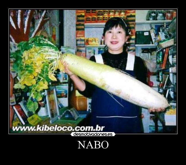 NABO -