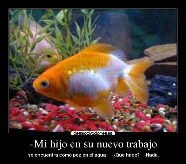 -Mi hijo en su nuevo trabajo -