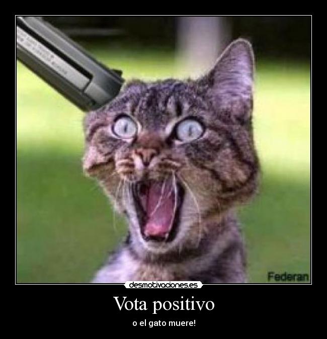 Vota positivo - o el gato muere!