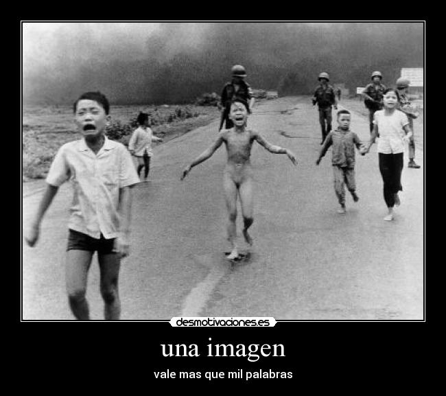 una imagen - 