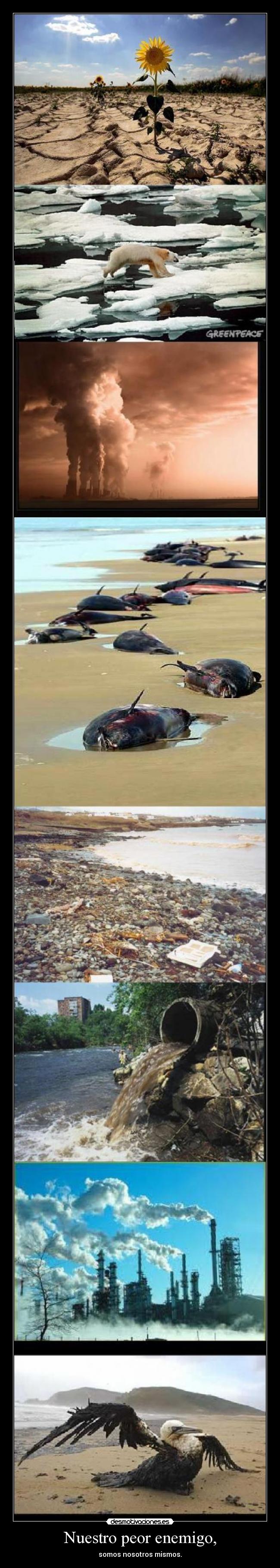 Nuestro peor enemigo, - somos nosotros mismos.