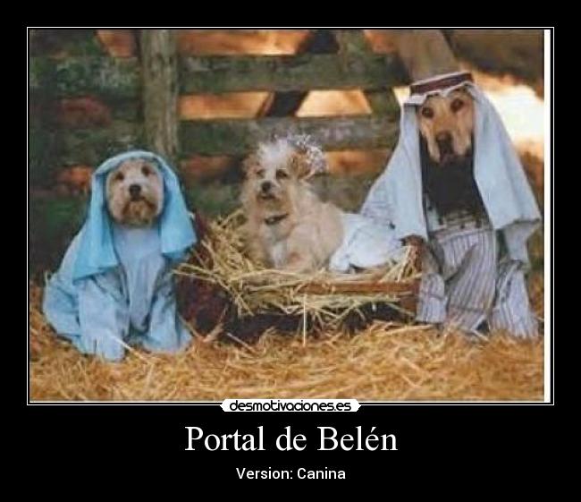 Portal de Belén - Version: Canina