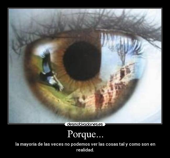 Porque... - 