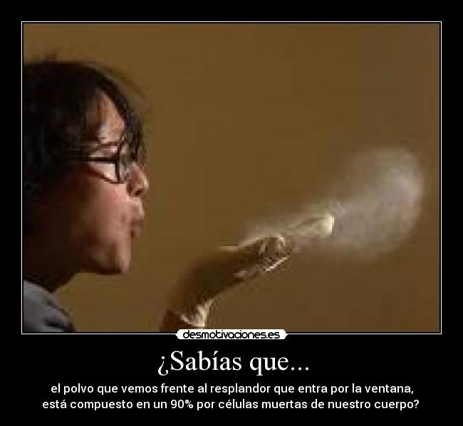 ¿Sabías que... - el polvo que vemos frente al resplandor que entra por la ventana,
está compuesto en un 90% por células muertas de nuestro cuerpo?