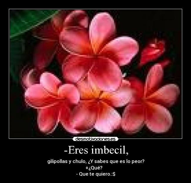 -Eres imbecil, - gilipollas y chulo, ¿Y sabes que es lo peor?
+¿Qué?   
- Que te quiero.:$