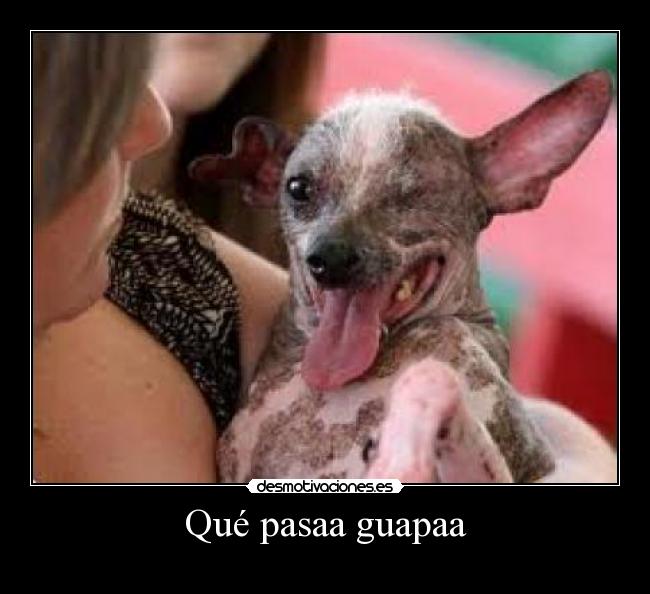 Qué pasaa guapaa - 