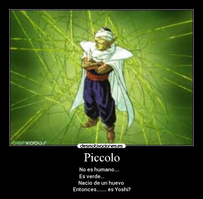 Piccolo -