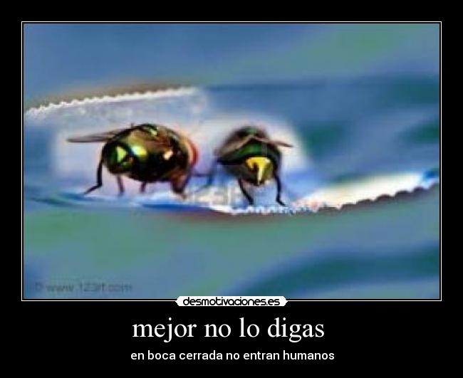 mejor no lo digas  - 