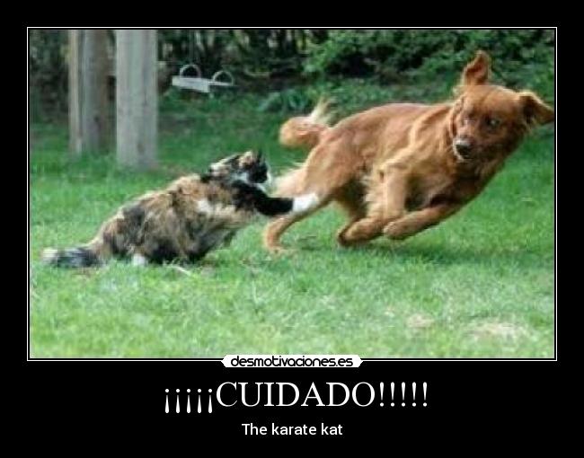¡¡¡¡¡CUIDADO!!!!! -