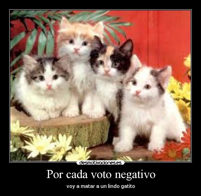carteles gatos negativos votos sangre matar desmotivaciones