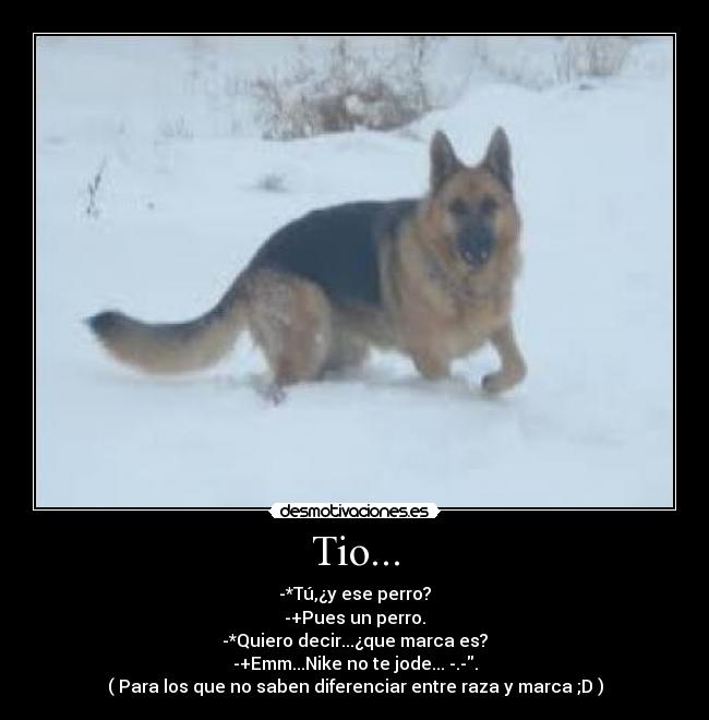 Tio... - -*Tú,¿y ese perro?
-+Pues un perro.
-*Quiero decir...¿que marca es?
-+Emm...Nike no te jode... -.-.
( Para los que no saben diferenciar entre raza y marca ;D )