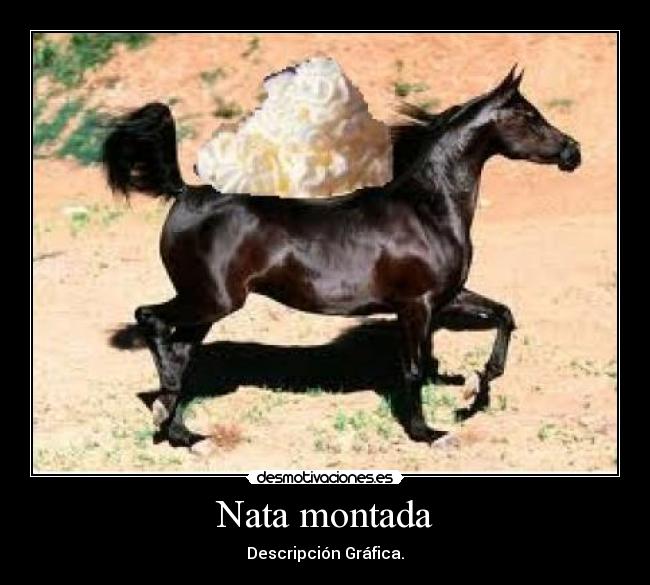 Nata montada - Descripción Gráfica.