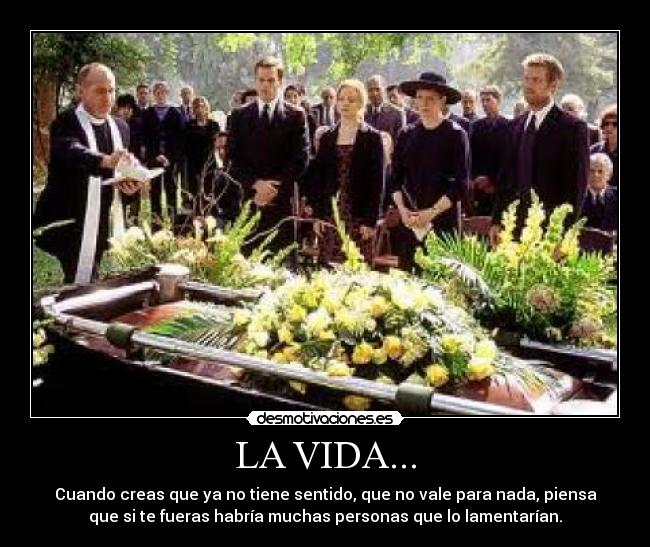 LA VIDA... - 