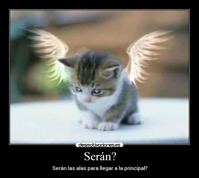 Serán? - 