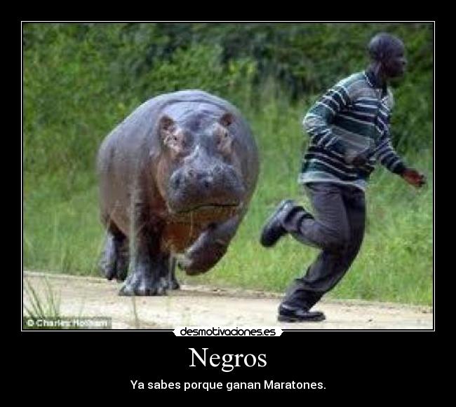 Negros - 