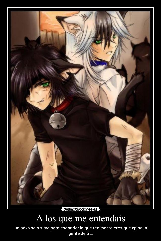 carteles neko desmotivaciones